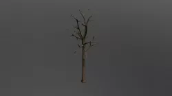 tree4