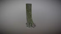 Tree5
