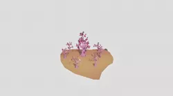 trees