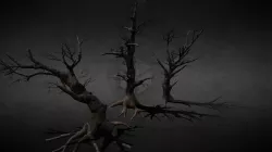 Trees