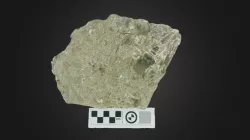 Treptoceras crebriseptum 11:01 Photogrammetry A