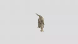 Trex Model By Joel3d FBX