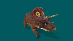Triceratops