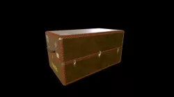 Trunk