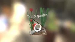 Tulip Garden