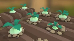 Turnip Practice