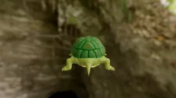 Turtle Model