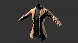 Turtle Neck and PeaCoat