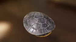 Turtle Shell progress