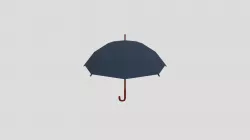 Umbrella