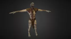 Undead monk