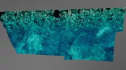 Underwater dike and seagrass meadow
