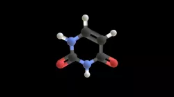 Uracil