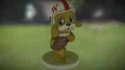 UW Football doggy