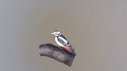 V3