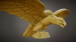 Vandalized Copper Eagle