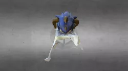 Vayne Helm