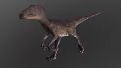 Velociraptor