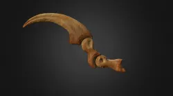 Velociraptor Claw