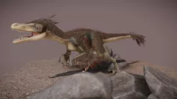 Velociraptor Mongoliensis
