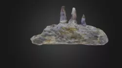 Vertebrate: Amphibian jaw (PRI)