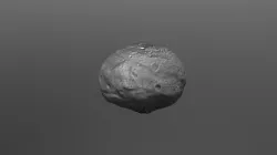 Vesta