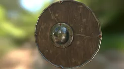Viking Shield