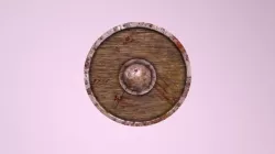 Viking Shield