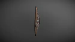 Viking Shield