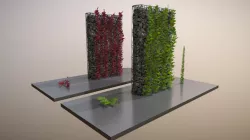 Vines - Climbing Plants (WIP-3)
