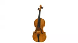 Violino