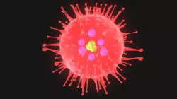 Virus