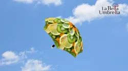 Vitamin C Umbrella - Automatic