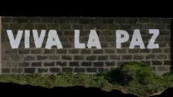 VIVA LA PAZ - Artistic painting on the wall