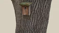 Vogelhaus