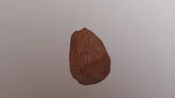Vombat
