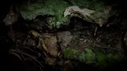VR Snag
