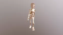 Walk Cycle