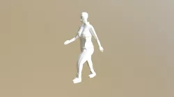 Walk Cycle