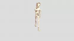 Walk Cycle