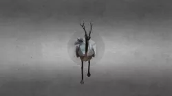 Walk