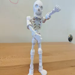 Posable Skeleton Figure