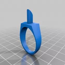 Ring model for metal casting (signet)