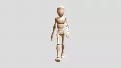 Walking Cycle