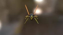 Wasp