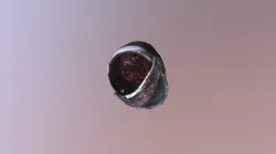 Water Bucket
