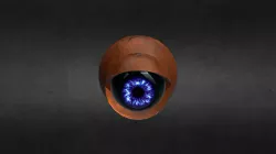 Web Camera.