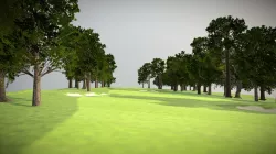Wentworth Hole9 Trees