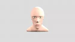 Wes Head Sculpt
