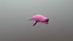 White Whale